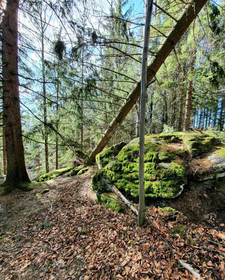 Apartament Nr 16 Szklarska Poręba Exteriör bild
