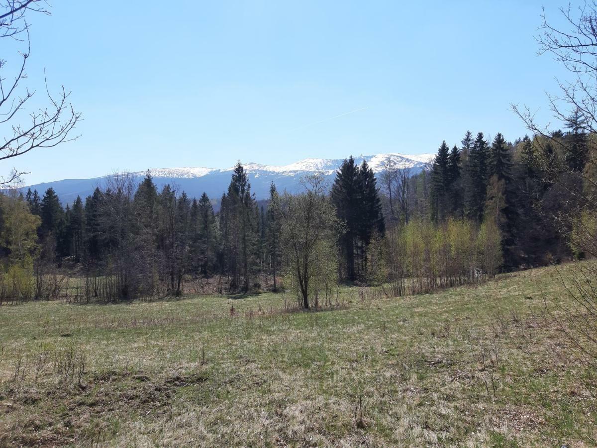 Apartament Nr 16 Szklarska Poręba Exteriör bild